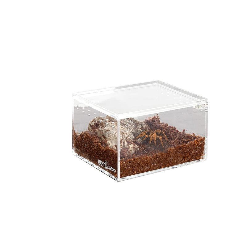 Tarantula Enclosure Starter Kit-thumbmail-2