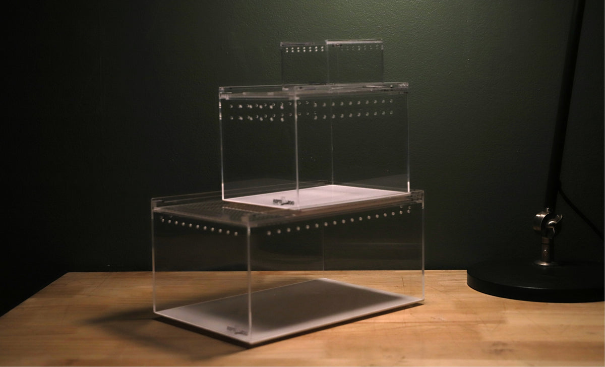 Invertebrate Acrylic Enclosures