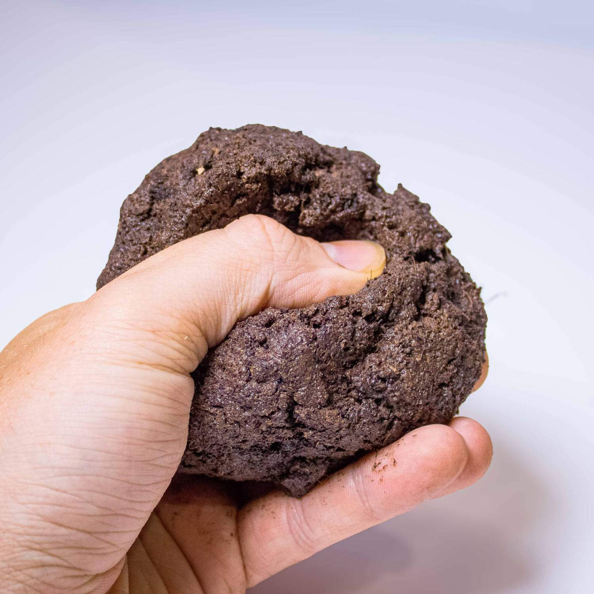 Terrarium Putty (Terrarium Paste)