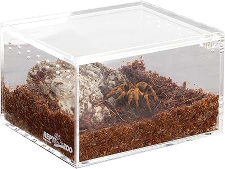 Tarantula Enclosure Starter Kit-thumbmail-4