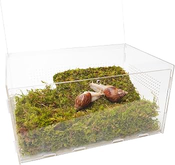 Snail Enclosure Starter Kit