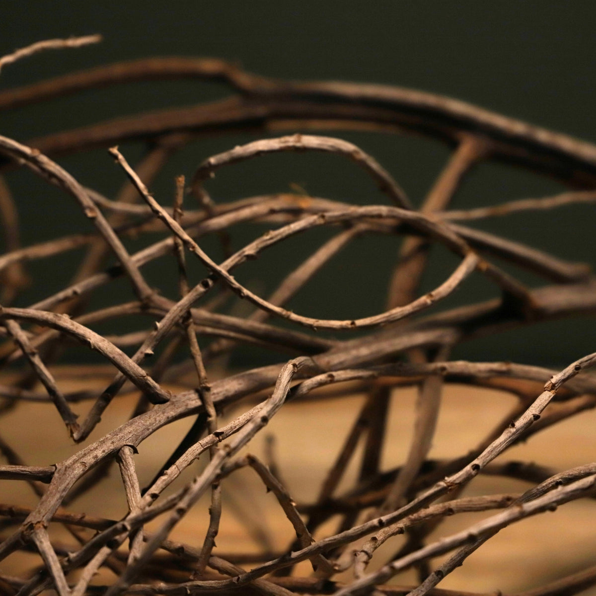 Assorted Spinifex/ Tumbleweed Branches-thumbmail-2