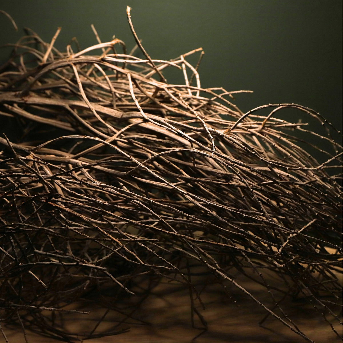 Assorted Spinifex/ Tumbleweed Branches-thumbmail-4