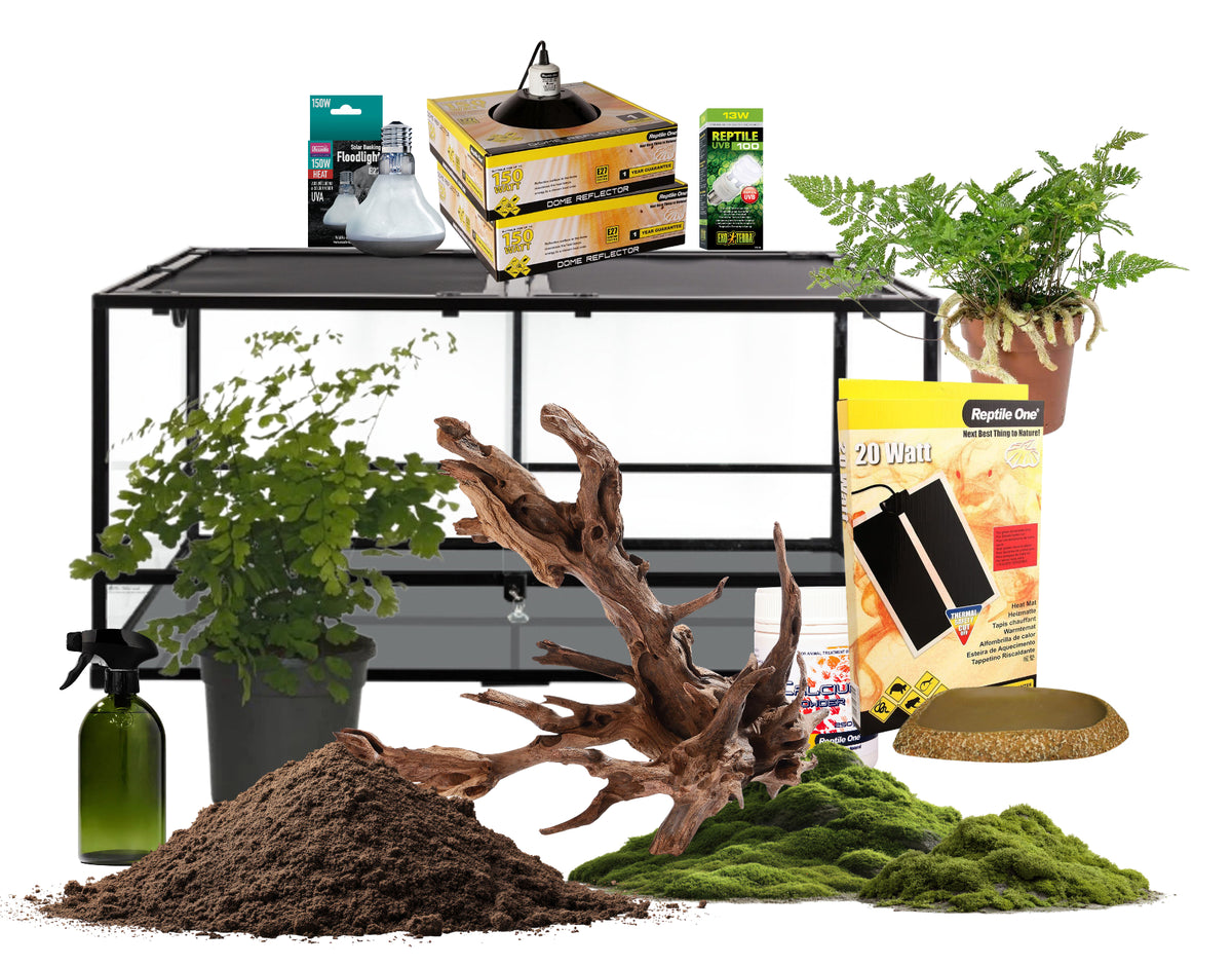 Terrestrial Frog Enclosure Starter Kit