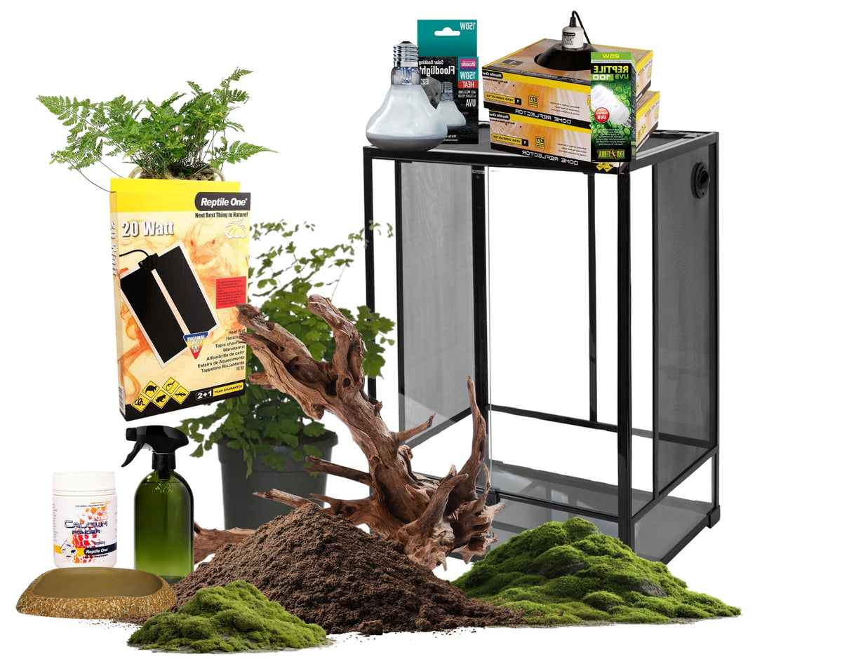 Tree Frog Bioactive Enclosure Starter Kit