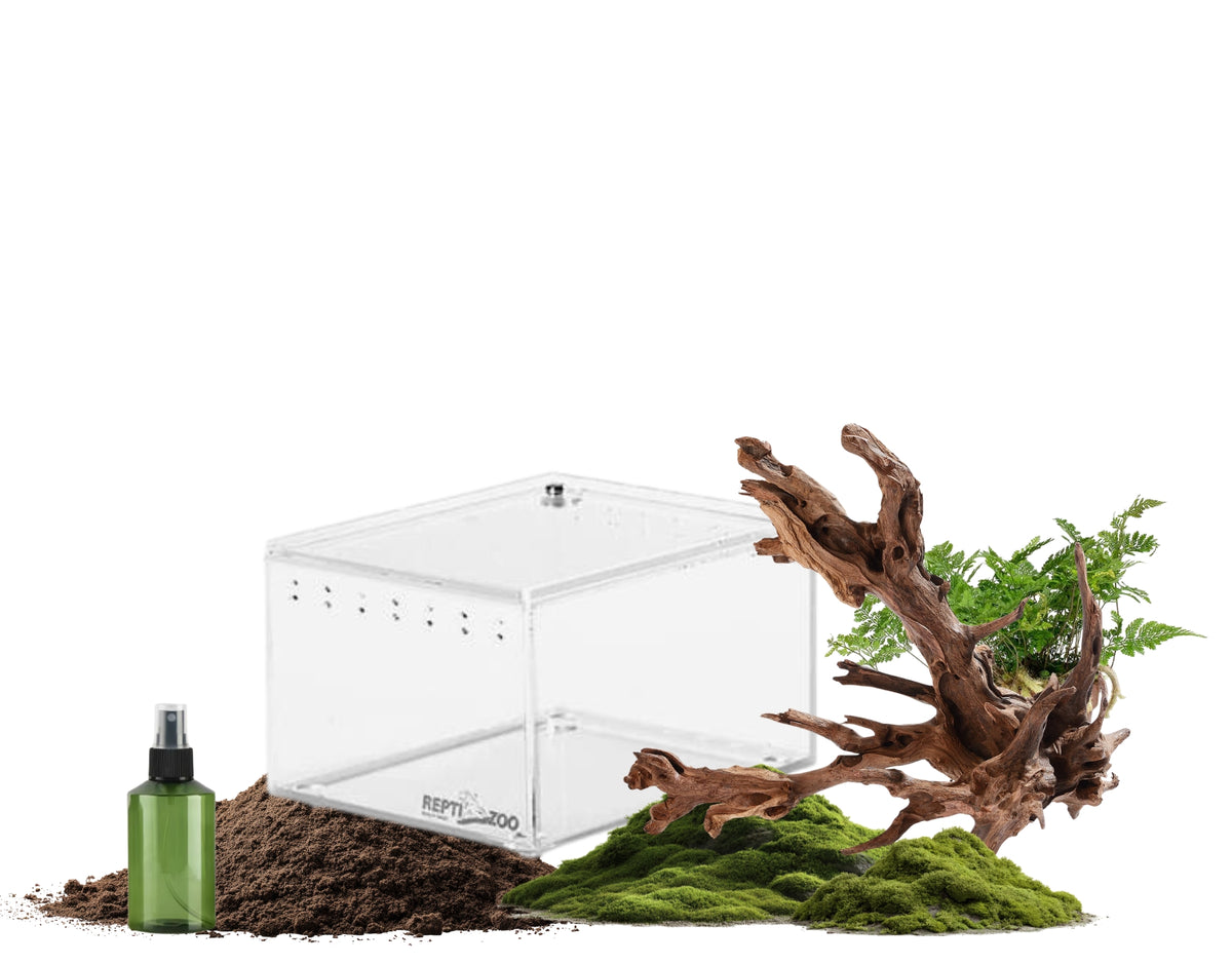 Tarantula Enclosure Starter Kit