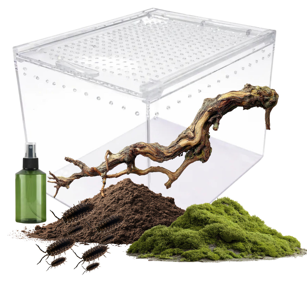 Isopod Culture Starter Kit