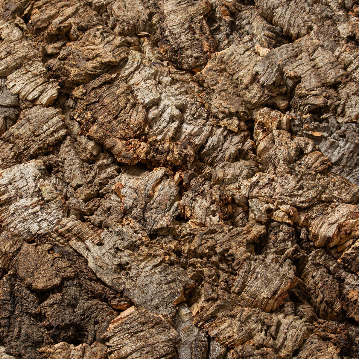 Virgin Portuguese Cork Bark