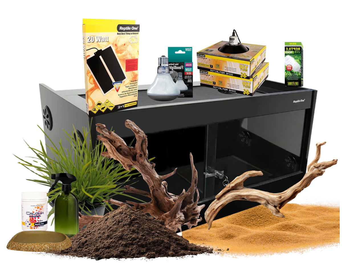 Snake Enclosure Starter Kit