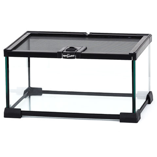 Glass Insect Enclosure w/ Mesh Lid-thumbmail-2