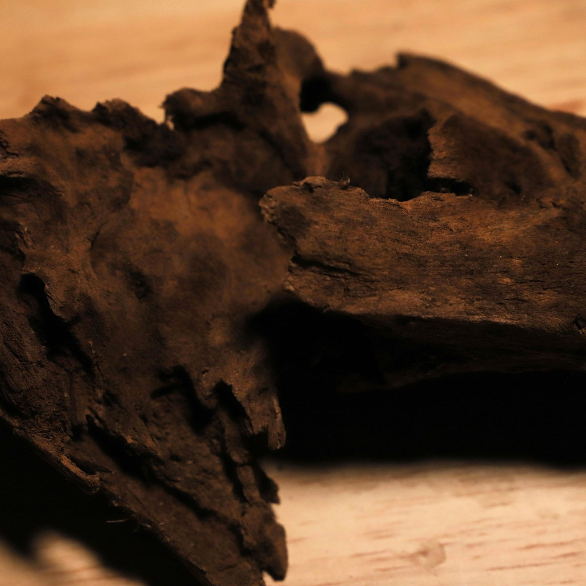 Malaysian Driftwood-thumbmail-2