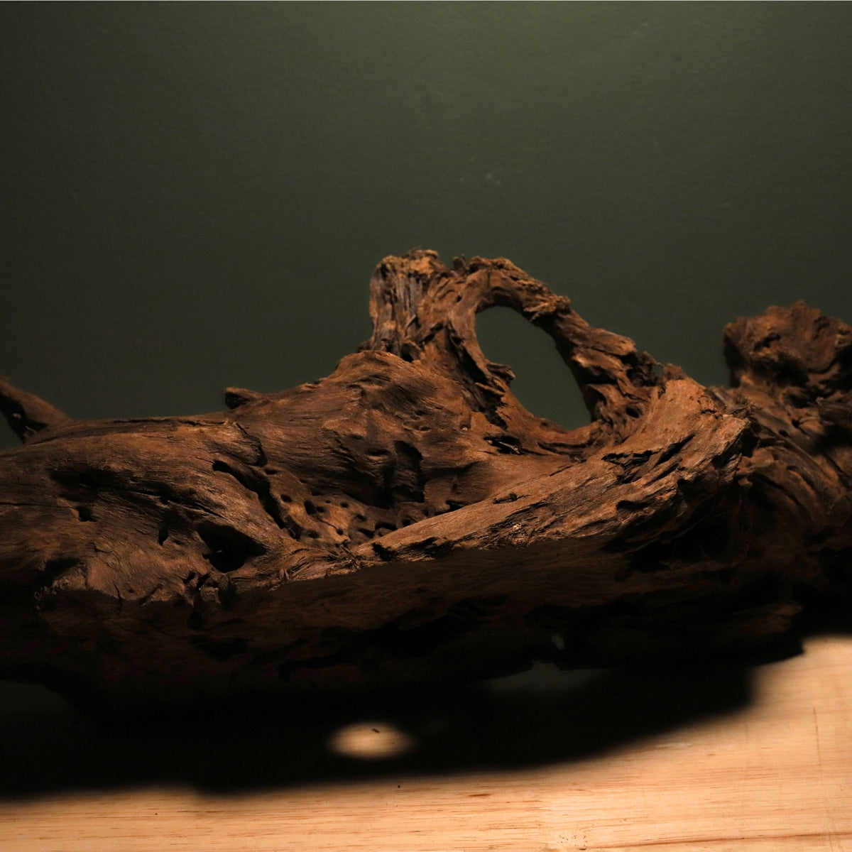 Malaysian Driftwood-thumbmail-3