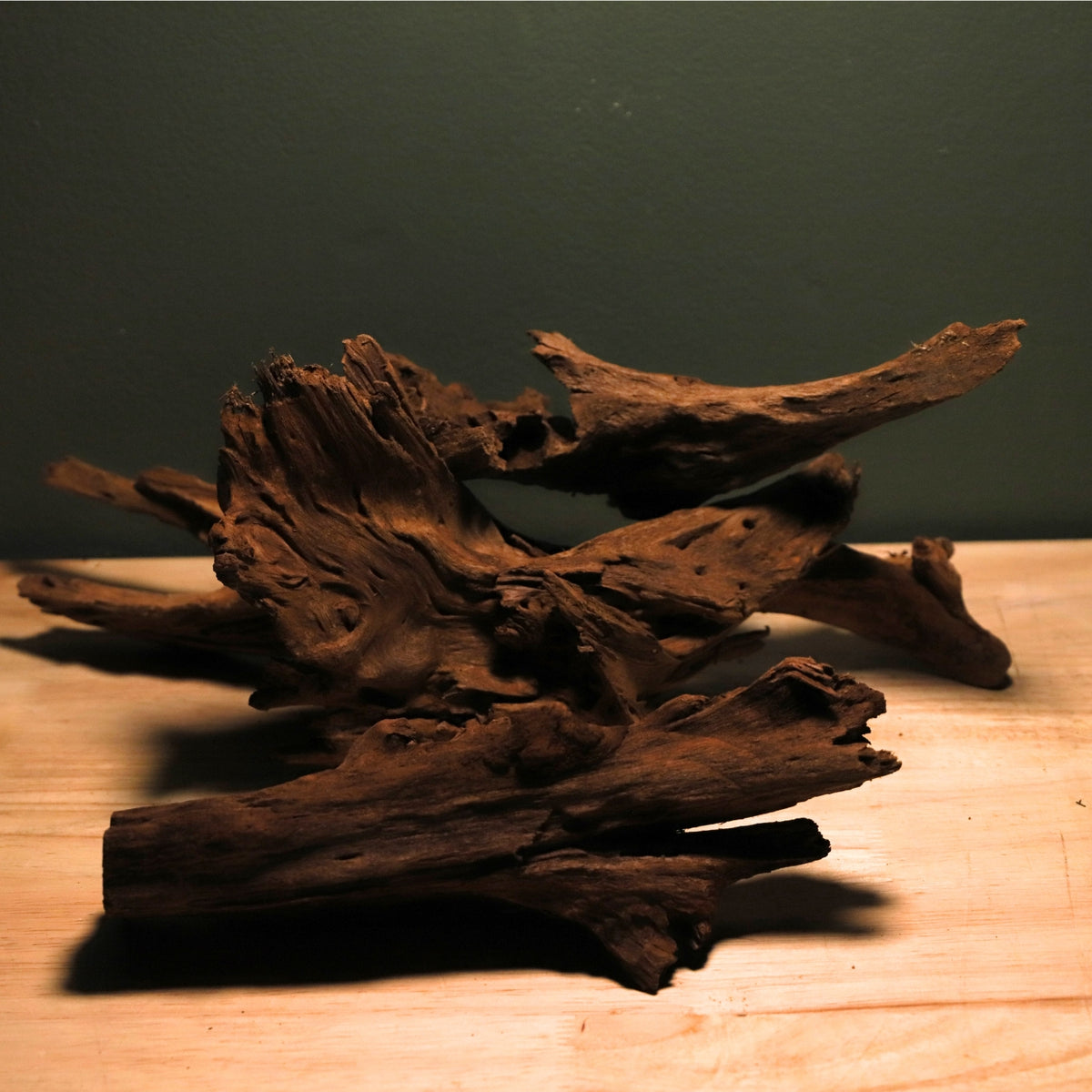 Malaysian Driftwood-thumbmail-4