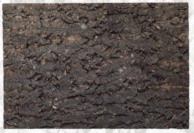 Natural Cork Flat Background-thumbmail-5