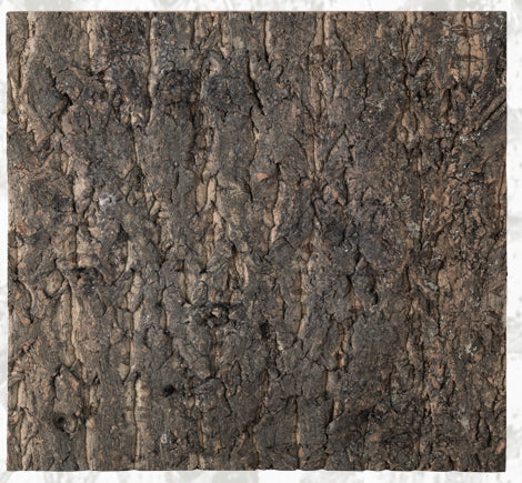 Natural Cork Flat Background-thumbmail-7