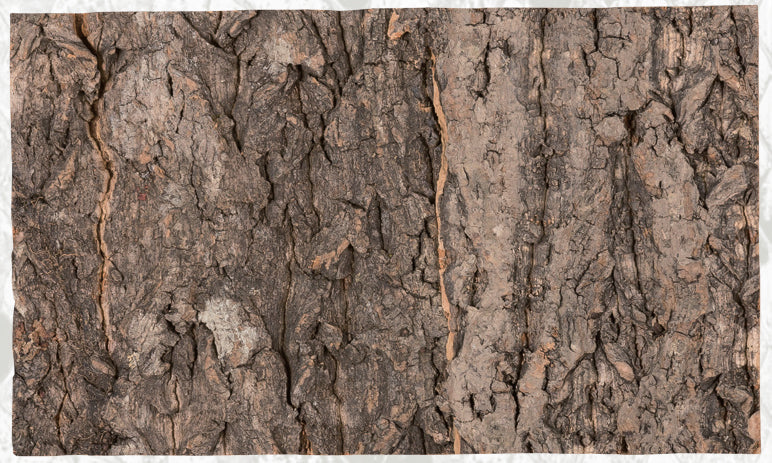Natural Cork Flat Background-thumbmail-9