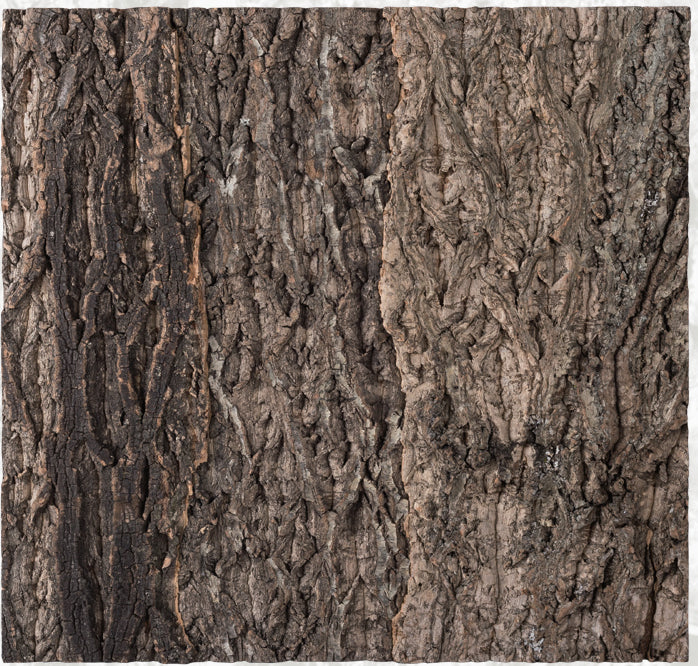 Natural Cork Flat Background-thumbmail-10