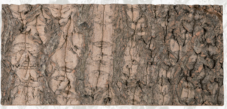 Natural Cork Flat Background-thumbmail-8