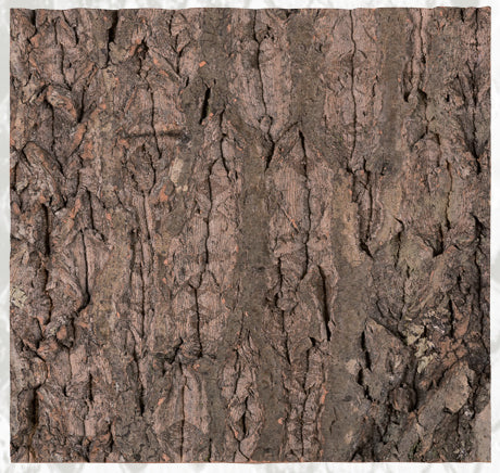 Natural Cork Flat Background-thumbmail-6