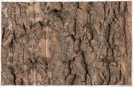 Natural Cork Flat Background