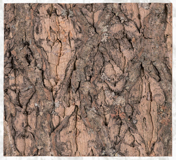 Natural Cork Flat Background-thumbmail-2